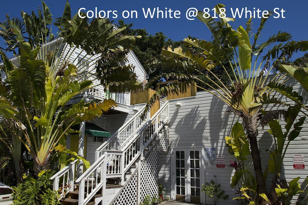 דירות קי וסט Colors On White מראה חיצוני תמונה